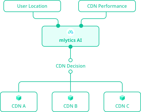 Process the collected data into actionable insights